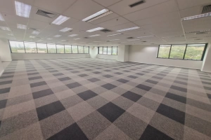 Company Plaza Pinheiros 775m² 21 Vagas