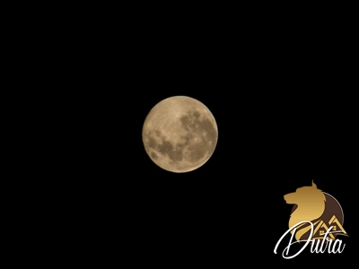 Le Maison Campo Belo 125m² 03 Dormitórios 01 Suítes 2 Vagas