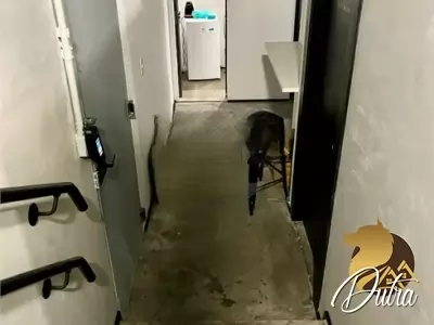 Área Comercial Perdizes 450m² 03 Dormitórios 01 Suítes 9 Vagas